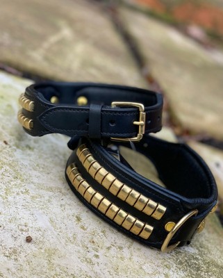 brass studded dog collar