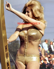 Linda Vaughn Miss Hurst Golden Shifter BUSTY ...