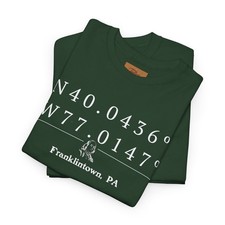 Franklintown, PA Coordinates - Unisex Heavy Cotton Tee