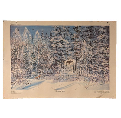 Original Soviet Big Poster - Winter Forest Moose Wall Art - Nature Landscape