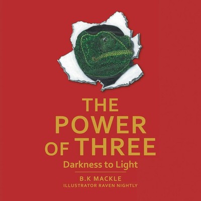 The Power Of Three Darkness to Light B. K Mackle Taschenbuch Englisch 2023