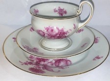 Porzellan Tasse, von Thomas Bavaria, als komplettes Set