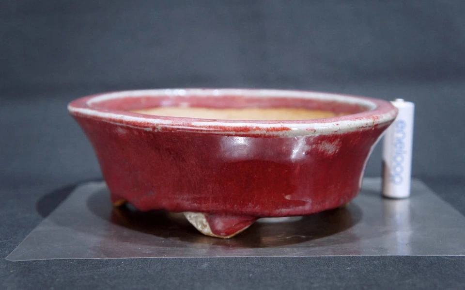 Olla Bonsai Kouyou Tokoname 6.9" Rojo Cinabrio Esmaltado Rectangular Sin Usar Japón Foto 2 de 4