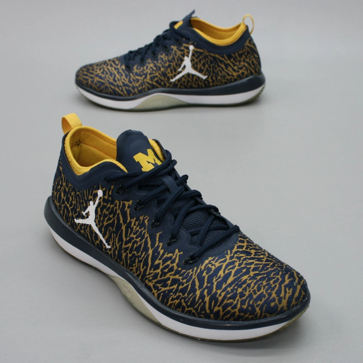 Nike Air Jordan Trainer 1 low Size 10.5 Michigan Jordan Trainer 1 Low Michigan | eBay main image 3