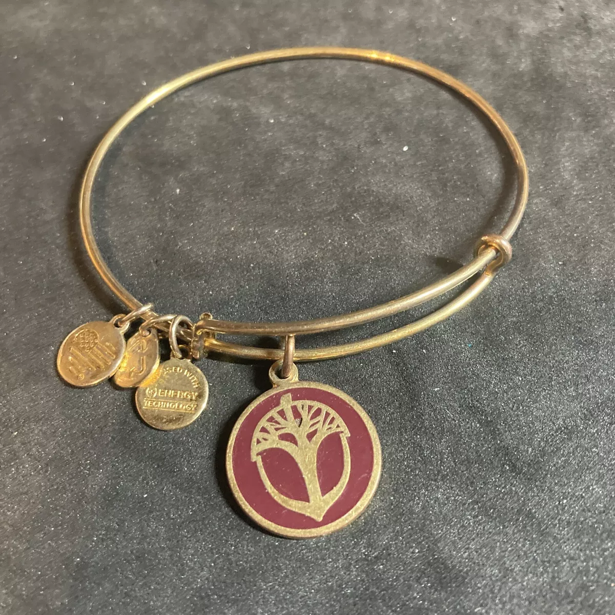 alex and ani gold tone acorn tree unexpected miracles bracelet b84