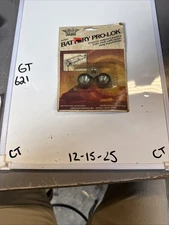 (1) Anes Electronic Battery Pro-lok  Anti Theft Device Nos OEM Sold As A Set