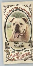 2019 Allen and Ginter Collectible Canines Mini #CC-11 English Bulldog