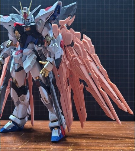 Gk Conversion Kits For Strike Freedom ストライクフリーダム Body Backpack 1 100 Ebay Gk Conversion Kits For Strike Freedom ストライクフリーダム Body Backpack 1 100 Ebay