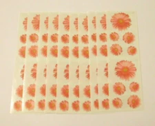 Mrs. Grossman's Stickers Lot of 10 Strips ~Gerber Daisies~ Photoessence 2009