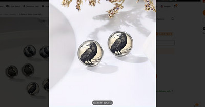 VERY PRETTY STUD EARRINGS WITH A CROW/RAVEN TUCKED INSIDE THE CASE