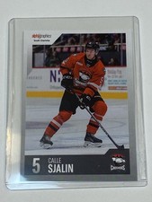 Calle Sjalin #5 Charlotte Checkers Hockey Card 2023 2024 Season AHL Edition NC