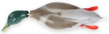 Dokken's Dead Fowl Entendummy Dummy Apport Stockente