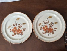 PAIR 2 International China Country Cousins Salad Plates 7 3/4" Monique #SY-7847
