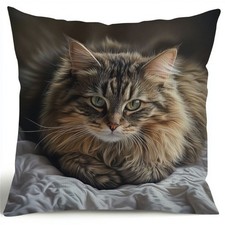 Long Haired Cat Decorative Pillow Cover Pet Lover Cozy Bedroom Home Decor Gift