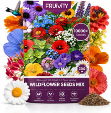 Wildflower Seeds Bulk 10000+ 1.06oz 21 Variety Perennial Mix Multicolor 193.36 per gallon