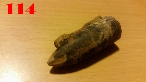 2x Große BELEMNITEN / Donnerkeile 40 mm Versteinerung Fossilien Millionen Jahre - Bild 2 von 24