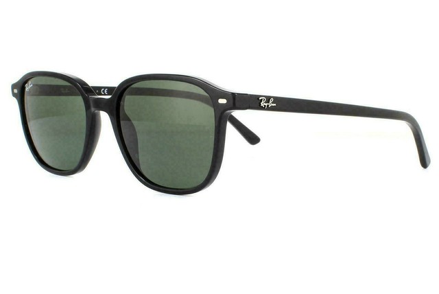 Sunglasses Ray-Ban Leonard RB 2193 (901/31) Unisex | Free Shipping Shop  Online