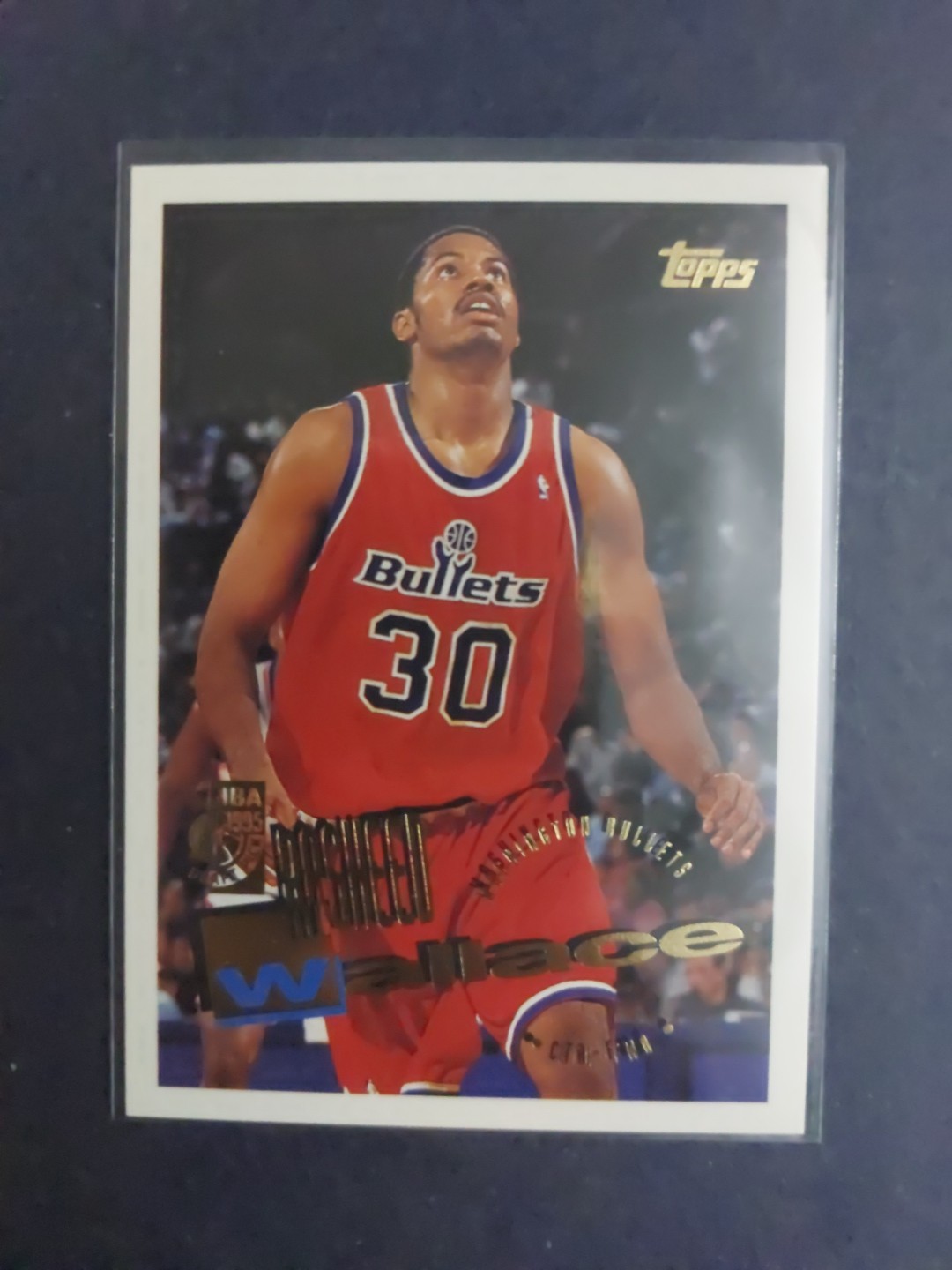 1995-96 Topps Rasheed Wallace #193 Rookie