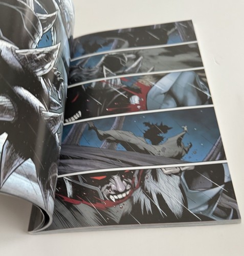 Dungeons & Dragons the Legend of Drizzt Neverwinter Tales IDW 2013 - Picture 12 of 15