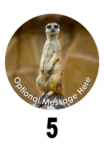 Edible Meerkats decoration Cake Topper choices of size, iced and standing - Picture 9 of 10