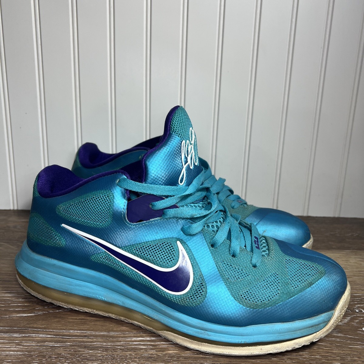 lebron 9 low hornets