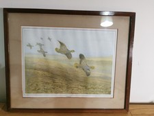 Vintage Archibald Thorburn "Grey Partridges in Flight" Framed Print – Restored b