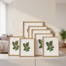 Elegant 8x10 Picture Frame Set of 5 - High-Definition Glass for Stunning Display