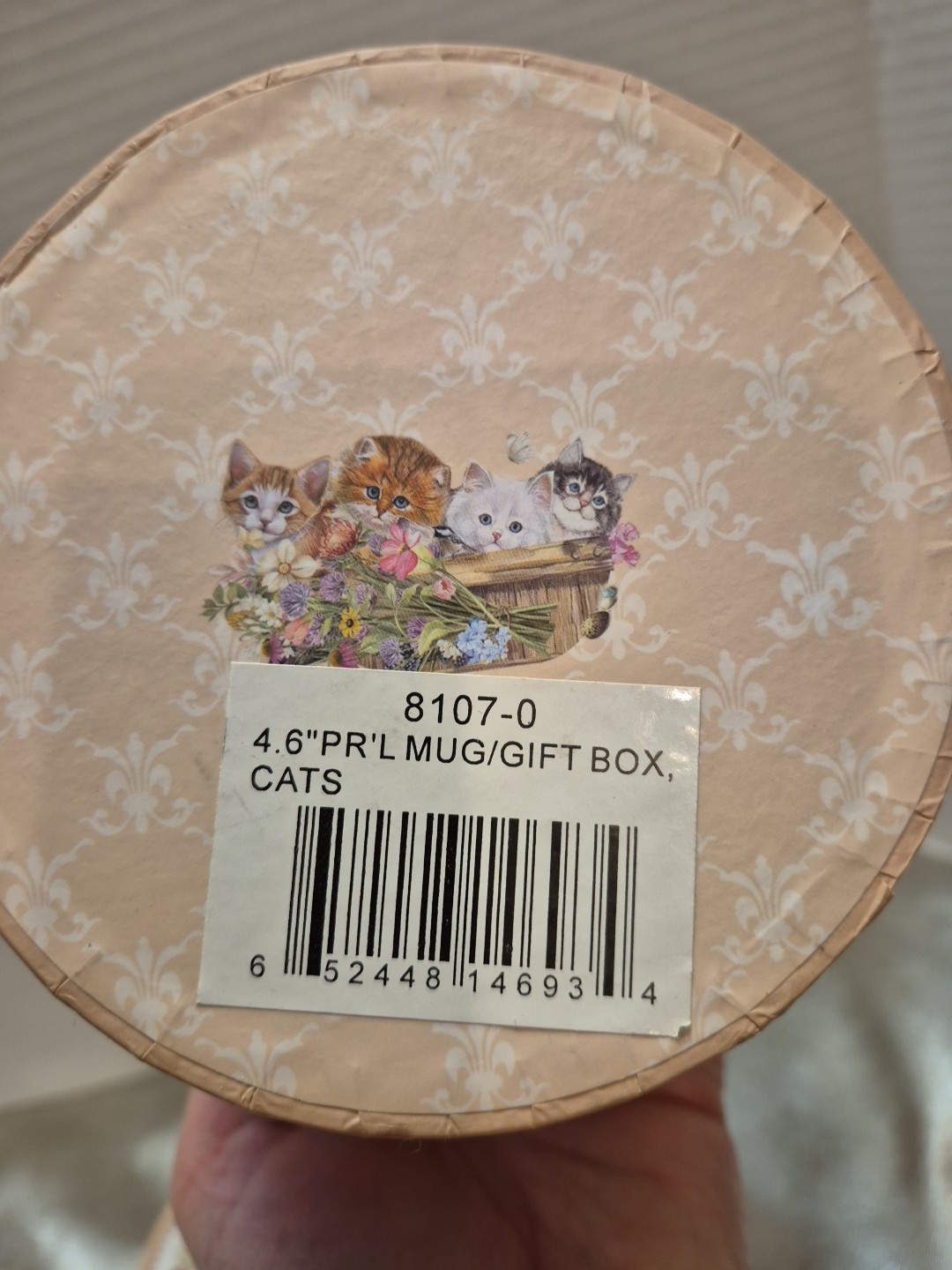 Delton Porcelain Kitten Teacup & Saucer Gift 