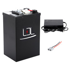 48v 40Ah Lithium LiFePO4 Battery Pack for 0-2000W Motor 50A BMS with 5A Charger
