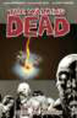 Robert Kirkman The Walking Dead Volume 9: Here We Remain (Paperback)