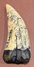 REPLICA TYRANNOSAURUS REX TOOTH FOSSIL T-REX DINOSAUR JURASSIC