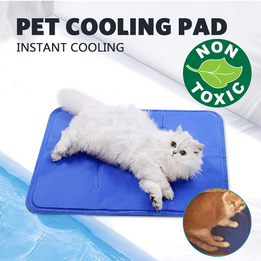 best cat cooling pad