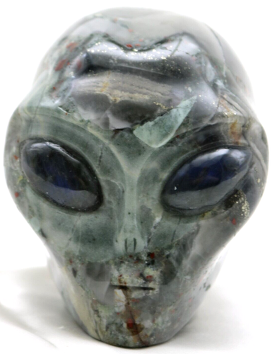 XL African BLOODSTONE Crystal ALIEN Head with LABRADORITE Gem Eyes Fossil Being