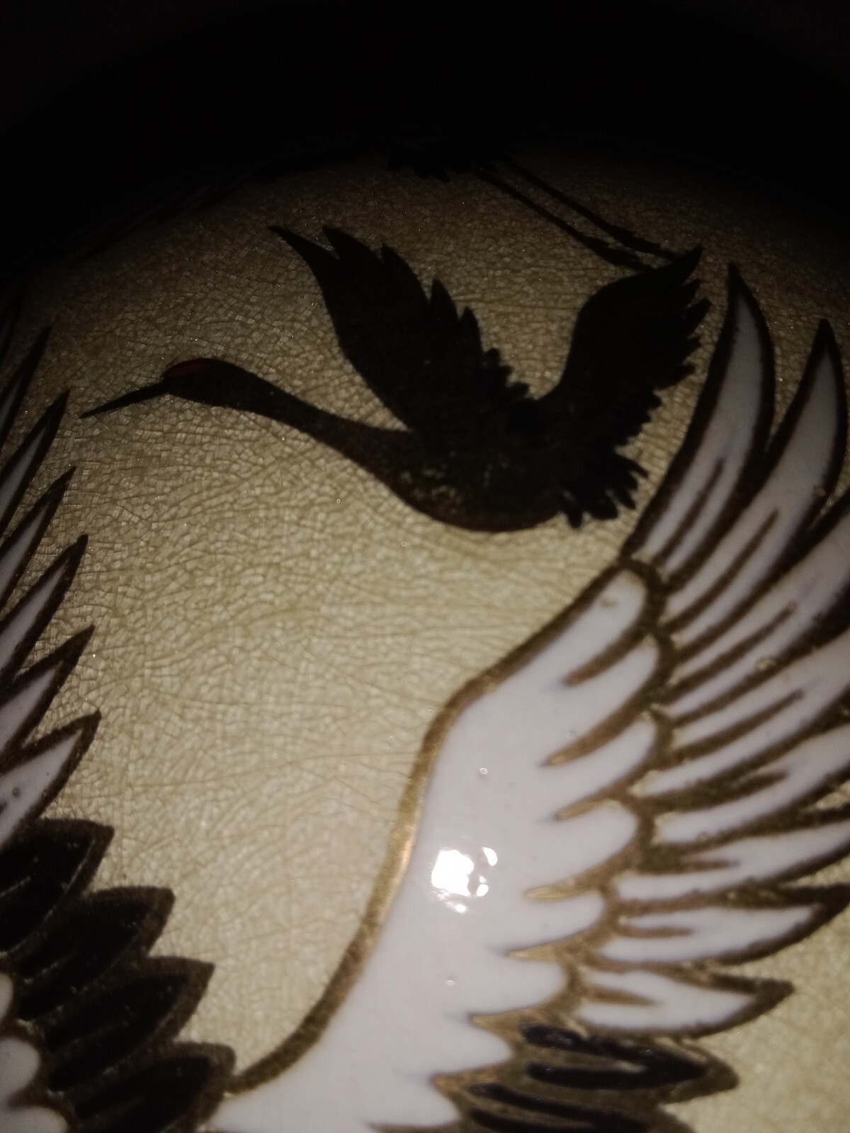 Picture 5 of 12