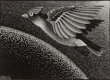 Maurits Cornelis Escher : The First Day : Archival Art Print