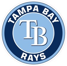 Tampa Bay Rays Vinyl Decal Sticker Car Truck Bumper Tumbler Mug
