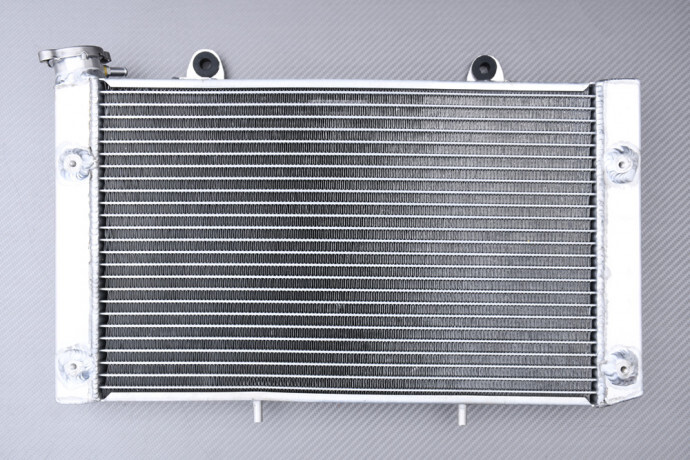 Radiateur Yamaha Rhino 700 racing renforcé eau pour SSV YXR700 Ducks FI 2008