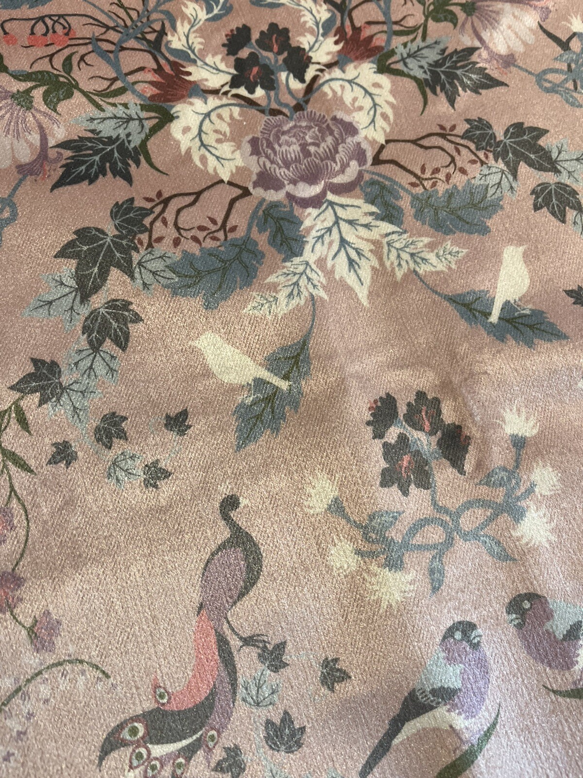 Picture 5 of 6