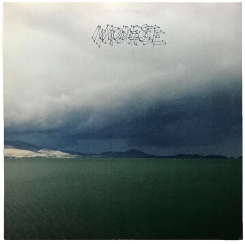 Modest Mouse signed 7 inch vinyl record Float On Isaac Brock proof