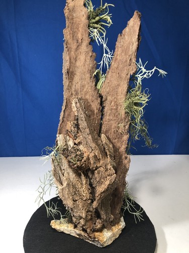 Artificial Succulent Air Plant Home Office Mounted on Real Wood Bark and Stone - Picture 4 of 22