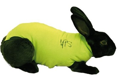 clothes for rabbits ebay