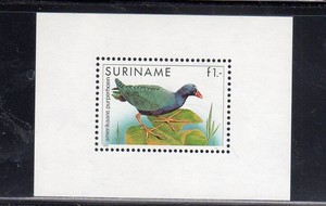 SURINAM #725a 1985 BIRDS MINT VF NH O.G S/S1