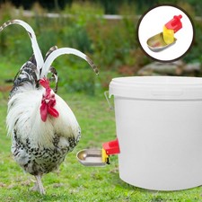 Poultry Water Cups - Automatic Poultry Waterer For Quail Duck Chicken Bird