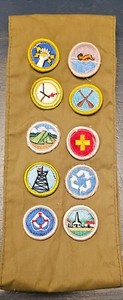Vintage Boy Scout Sash With 10 Merit Badges