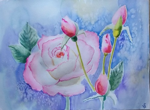 Hand Painted Original Watercolor ACEO Pink Roses AWAITING SPRING Signed by JV