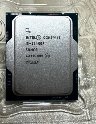 FOR Intel i5 13490F Granite Ridge 128GB LGA1700 DDR5 2.5GHz 4.8GHz CPU Processor