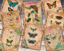 8 A4 Scrapbook Papier Ausschneidebogen 8 Ephemera Schmetterlinge Karten 300g/m2