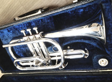 corneta plateada de Schenkelaars