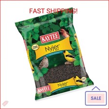 Kaytee Nyjer Wild Bird Food Seed, 3 Pound