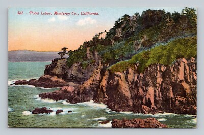 Point Lobos Shore View Monterey California CA UNP DB Postcard P13